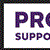 "Proud Supporter of Walk" Window Cling